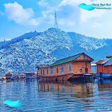 7N - 8D Kashmir Package