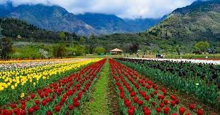 9N - 10D Kashmir Package