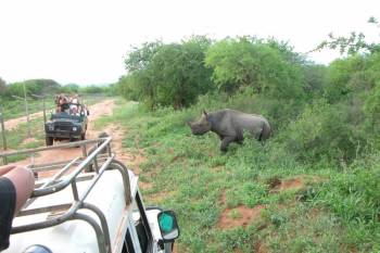 6D Northern Circuit Experience Safari And Cultural Exploration Tour