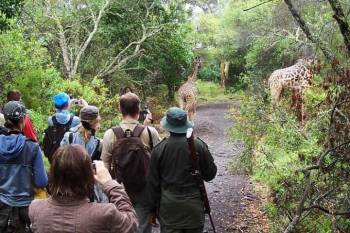 Join A Group - Shared Safari In Tanzania Tour