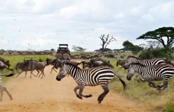 Arusha Tour Packages