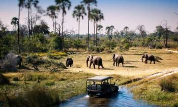 2 Days Tanzania safari Tour