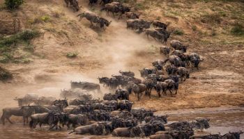 Ngorongoro Tour Packages