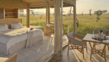 5 Days Luxury Tanzania Safari Tour