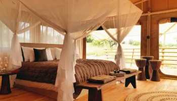 Ngorongoro Tour Packages