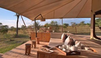 8 Days Luxury Tanzania Safari Tour