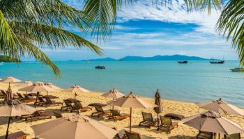 10 Days Luxury Tanzania Safari - Zanzibar Beaches Tour