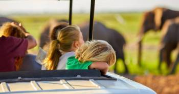 Manyara Tour Packages