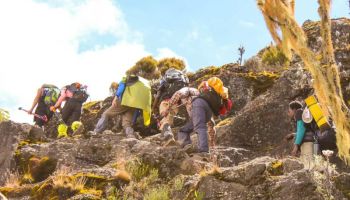 7 Days Machame Route Kilimanjaro Climbing Tour