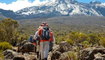 8 Days Lemosho Route Kilimanjaro Climbing Tour