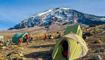9 Days Northern Circuit Route Kilimanjaro Climbing Tour