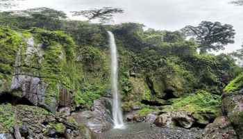 Napuru Waterfalls Day Tour