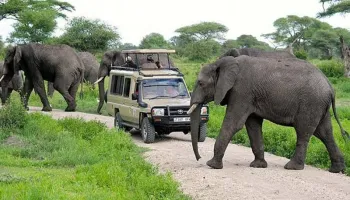 Arusha National Park Day Tour