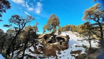Shimla Luxury Tour 3 Night 4 Day