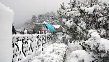 Shimla Luxury Tour 3 Night 4 Day