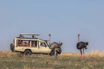 Masai Mara Tour Packages