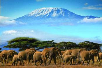 3-Day Tsavo East - West Safari Tour