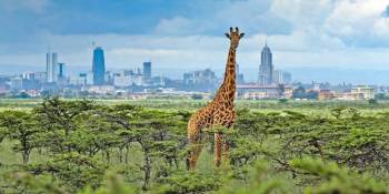 Unforgettable 7 Day African Safaris From Your Nairobi