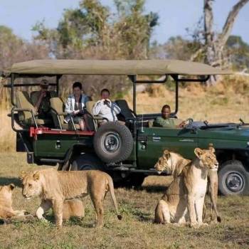 2 Day Masai Mara Group Safari Tour