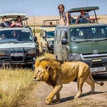 3 Day Masai Mara Group Safari Tour