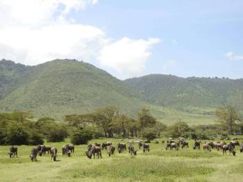 8 Day Kenya - Tanzania Safaris Tour From Nairobi