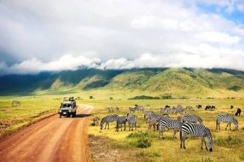 Ngorongoro Crater Full Day Safari From Arusha