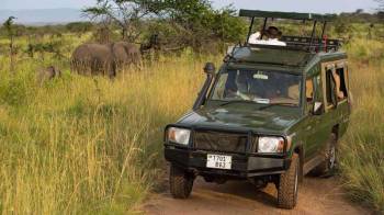 6 Day Tanzania Safaris Tour From Arusha