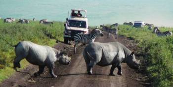 10 Days Luxury Air Safari - Tanzania Tour