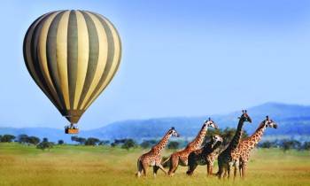 The Serengeti Landscape - Balloon Safaris 1 Day Tour