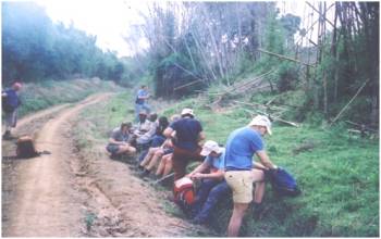 7 Days Mt. Kenya Trekking