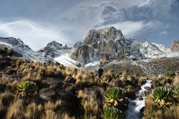 7 Days Mt. Kenya Trekking