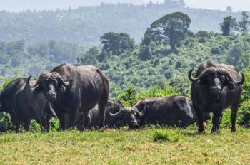 Samburu Tour Packages