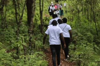 6 Days Mt. Kenya Trekking Sirimon - Chogoria