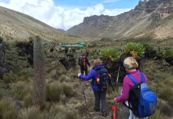 5 Days Mt. Kenya Trekking