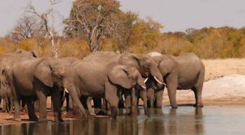 5 Days Masai Mara Tour