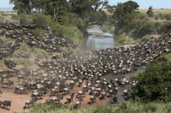 5 Days Masai Mara Tour