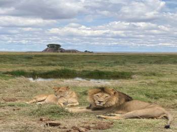 3-Day Midrange from Zanzibar to Serengeti National Park