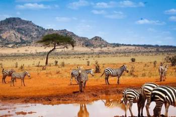 8-Day To an Incredible Parks in Tanzania