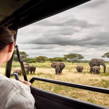 6-Day Tarangire, Serengeti, Ngorongoro Crater Trip