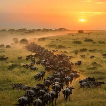 6-Day Tarangire, Serengeti & Ngorongoro Adventures