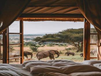 6-Day Tarangire, Serengeti & Ngorongoro Adventures