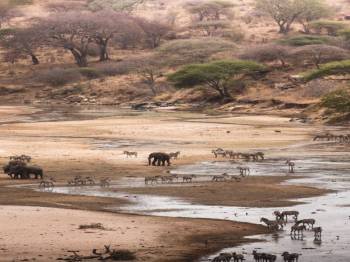 6-Day Serengeti NP & Ngorongoro Crater Adventure