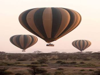 3-Day Fly in from Zanzibar to Ndutu Serengeti