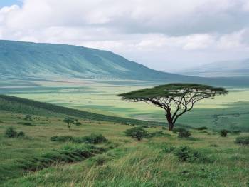 4-Day Tarangire, Ngorongoro and Serengeti Trip