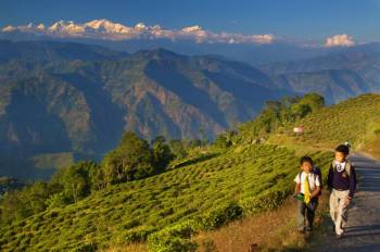 Mirik Tour Packages