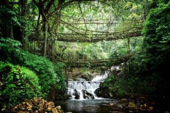 5N - 6D Meghalaya Tour Package