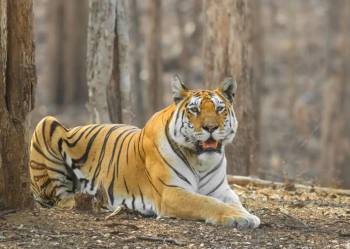 Seoni Tour Packages