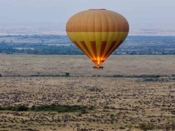 4 Nights 5 Days Maasai Mara Migration Special Offer