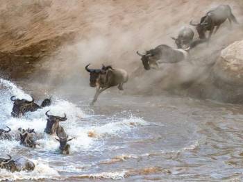 4 Nights 5 Days Maasai Mara Migration Special Offer