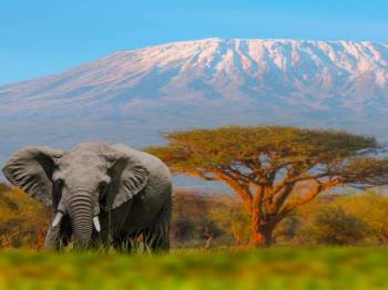 6 Nights 7 Days Kenya Epic Migration Safari Offers